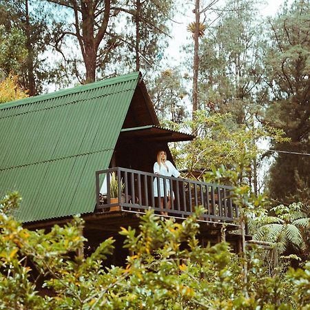 Cardinal Glamping Hotel Guatapé Eksteriør billede